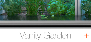 VANITY GARDEN